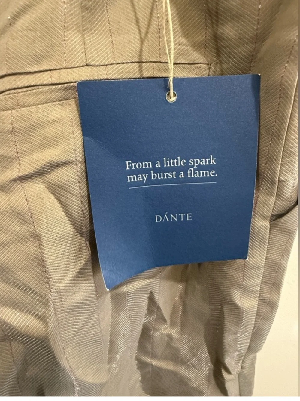 DANTE Men's Pleated Chino Pants in Taupe